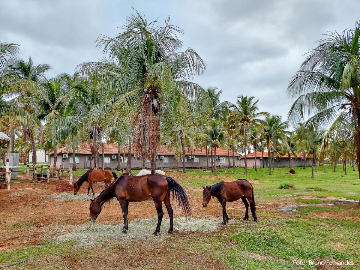 Campo Belo Resort Presidente Prudente Exterior photo